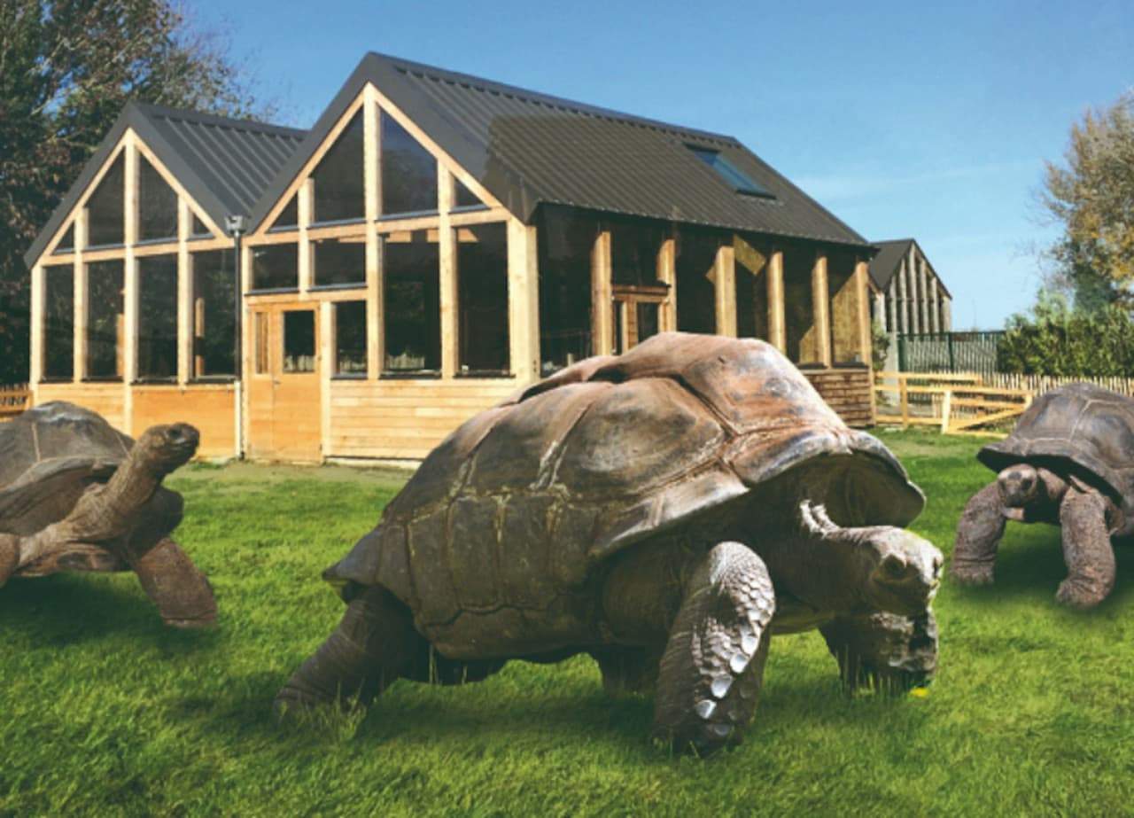 Alligator Bay Ticket - image 3